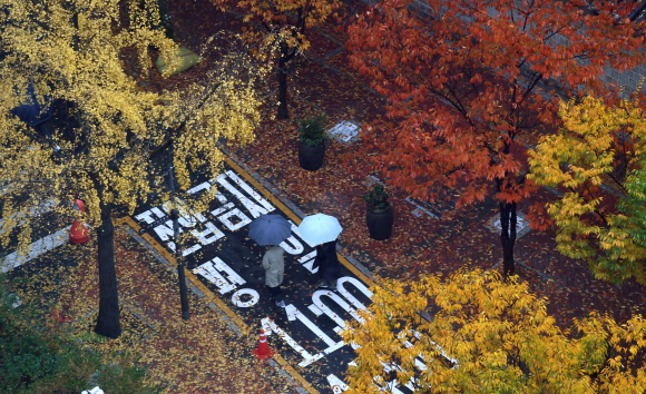 완연한 가을 날씨가 이어지고 있는 1일 덕수궁 돌담길에 단풍이 형형색색 물들어 있다. 2020.11.1  오장환 기자 5zzang@seoul.co.kr