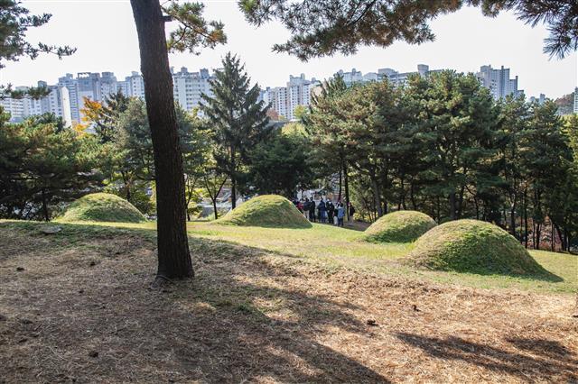 사육신역사공원에는 사육신이 아니라 사칠신이 모셔져 있다. 국가지정문화재인 사적으로 지정되지 못한 탓에 한강 쪽 경관을 가리는 고층아파트가 들어서는 것을 막지 못했다.