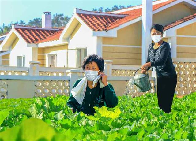 북한 노동당 기관지 노동신문은 3일 ‘새 보금자리에서 행복한 생활을 누리고 있는 금천군 강북리 인민들의 모습을 보며’라는 제목의 기사를 실었다. 이 곳은 수해 복구를 위해 인민군이 투입된 지역이다. 신문은 “금천군 강북리의 아름다운 모습 자체가 그대로 우리 인민군 군인들의 영웅적 투쟁과 위훈을 전하는 기념비”라고 밝혔다.  평양 노동신문=뉴스1