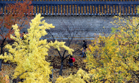 3일 시민들이 서울 덕수궁 돌담길을 걷고 있다. 2020.11.3  연합뉴스