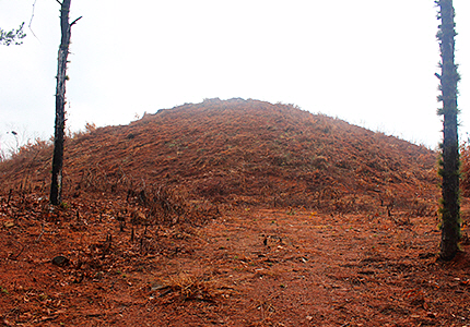 함평 금산리 방대형 고분.<br>함평군 제공