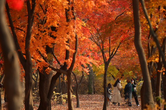 가을빛으로 흠뻑