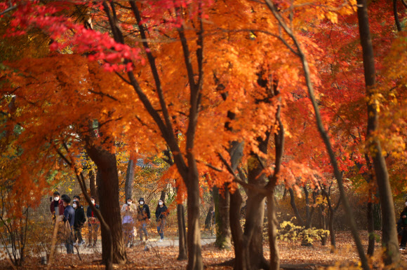 가을빛으로 흠뻑
