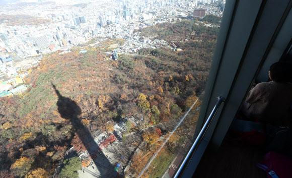 ‘가을아, 가지마’