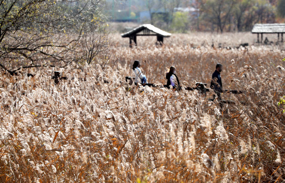 가는 가을이 아쉬워