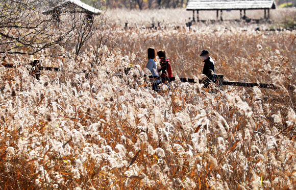 가는 가을이 아쉬워