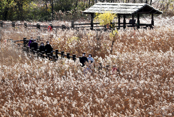 가는 가을이 아쉬워