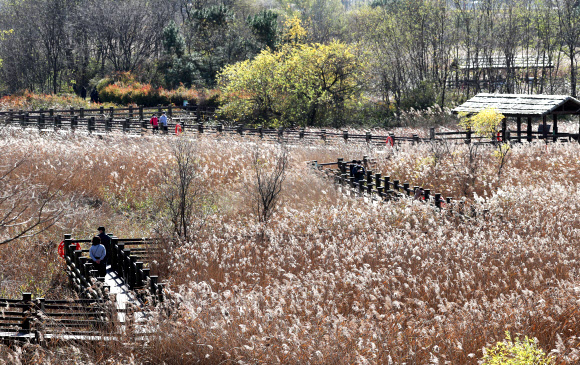 가는 가을이 아쉬워