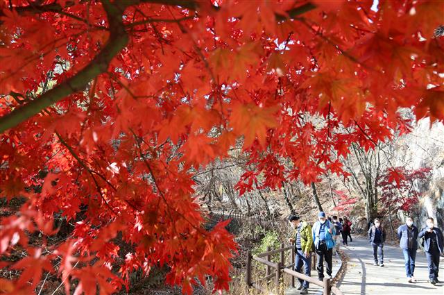 저물어가는 늦가을 정취