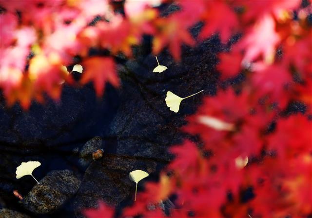 어느새 지나간 가을