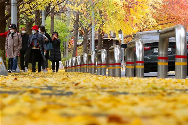 ‘가을의 끝자락’