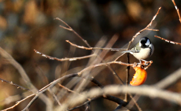 나중에 더 먹어야지