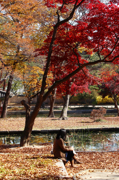 이 가을 창덕궁에서