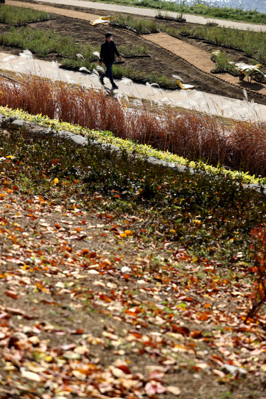 ‘늦가을, 안녕’