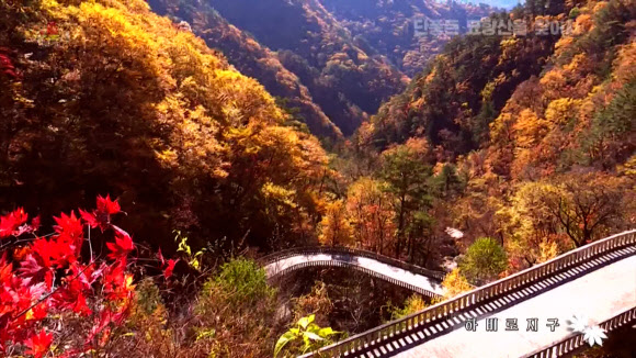 단풍으로 물든 ‘천하절승’ 북한 묘향산