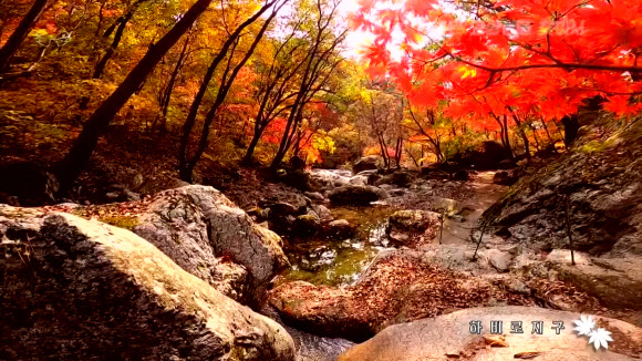 단풍으로 붉게 물든 북한 묘향산
