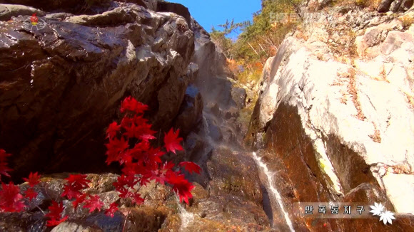 단풍으로 물든 ‘천하절승’ 북한 묘향산