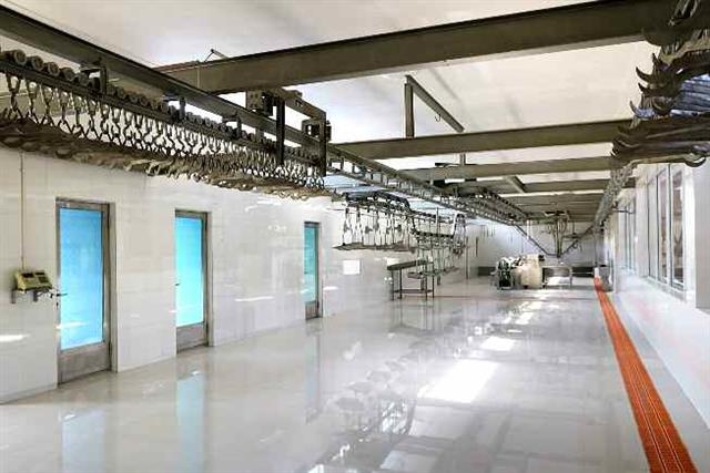 북한 노동당 기관지 노동신문은 14일 평안북도의 군민룡천돼지공장의 개건(현대화)이 마무리 단계에 들어섰다고 보도했다. 신문은 “현대화 공사는 90%계선을 훨씬 넘어섰다”라며 “도와 룡천군 일꾼들은 현지에 수시로 나가 제기되는 문제들을 풀어주고 있다”라고 전했다. 평양 노동신문=뉴스1