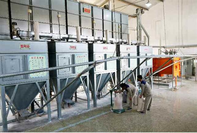 북한 노동당 기관지 노동신문은 14일 평안북도의 군민룡천돼지공장의 개건(현대화)이 마무리 단계에 들어섰다고 보도했다. 신문은 “충성의 80일 전투 기간 동안 공장의 현대화를 결속할 높은 목표를 세우고 과감한 돌격전을 벌이고 있다”라고 전했다. 평양 노동신문=뉴스1