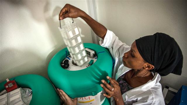 에볼라바이러스가 유행했던 중부 아프리카에서 에볼라 백신을 영하 80도로 보관하는 데 사용됐던 ‘아크텍 저장고’가 코로나19 백신 보관에도 사용될 수 있을 것으로 기대되고 있다. 세계보건기구(WHO) 제공
