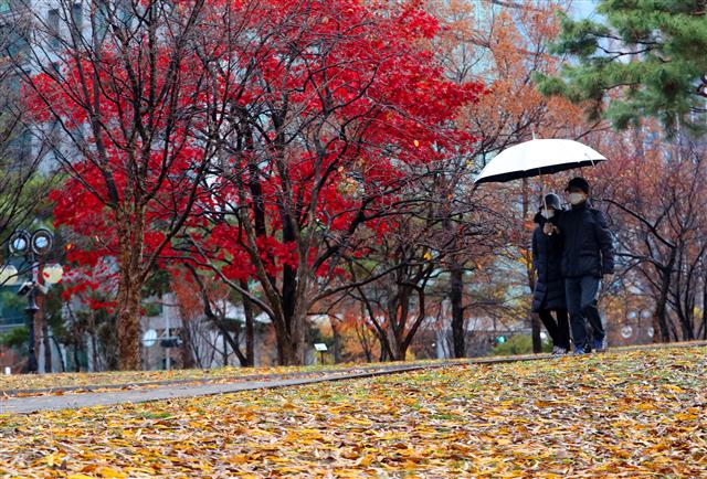 첫눈 내린다는 ‘소설’에 내리는 가을비