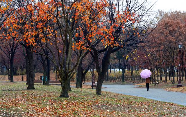 ‘겨울 재촉하는 가을비’