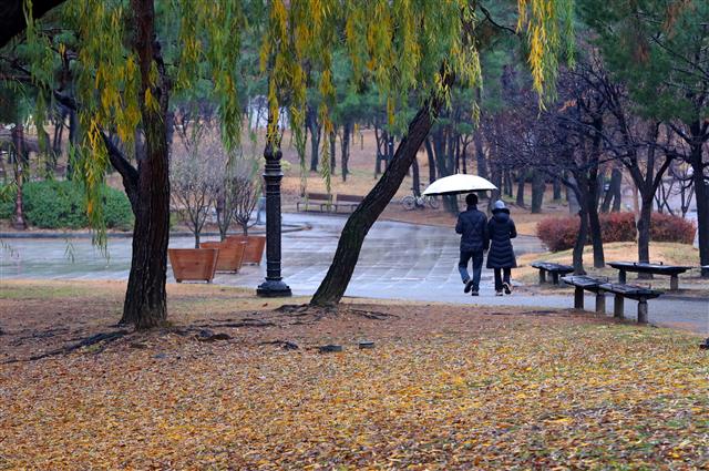 ‘소설’에 내리는 가을비