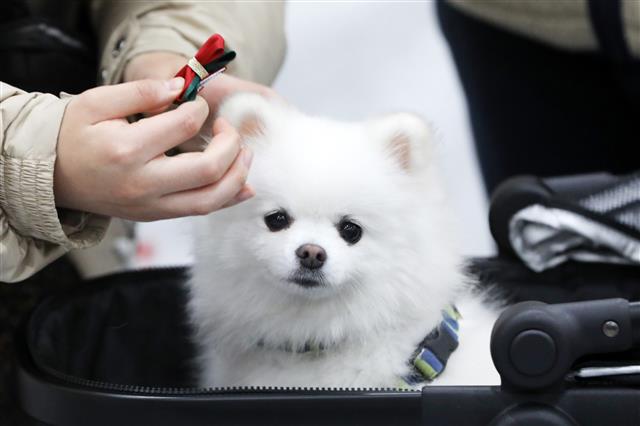 ‘저한테 잘 어울리나요’