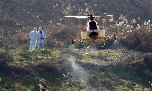 농식품부 ‘AI 방제차량 못가는 곳엔 무인 방제 헬기로 소독’