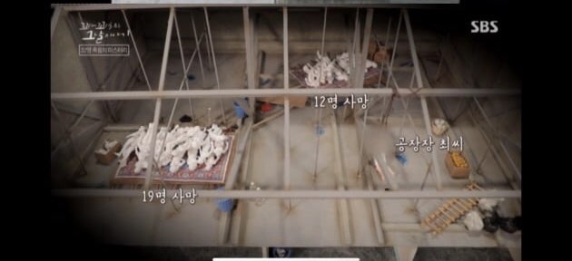 “70도 넘는 천장 위 32구 시신”…오대양 사건, 그날의 흔적/SBS ‘꼬리에 꼬리를 무는 그날 이야기’ 캡처