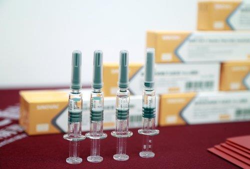 중국이 개발 중인 코로나19 백신 샘플 연합뉴스