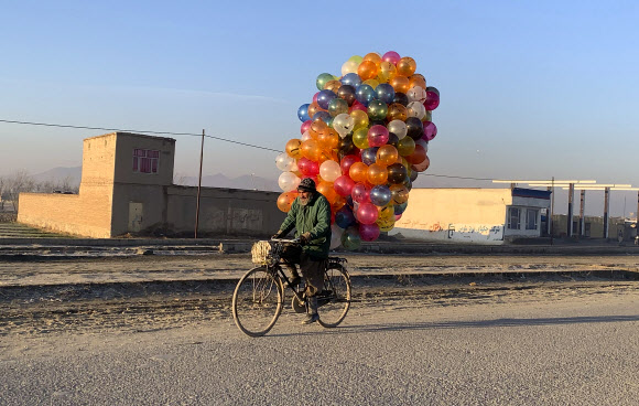 아프간 풍선 판매상이 5일(현지시간) 아프가니스탄 카불에서 자전거를 타고 고객을 찾고 있다. AP 연합뉴스