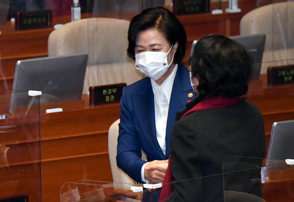 공수처법 개정안 가결된 후 김진애 의원과 인사하는 추미애