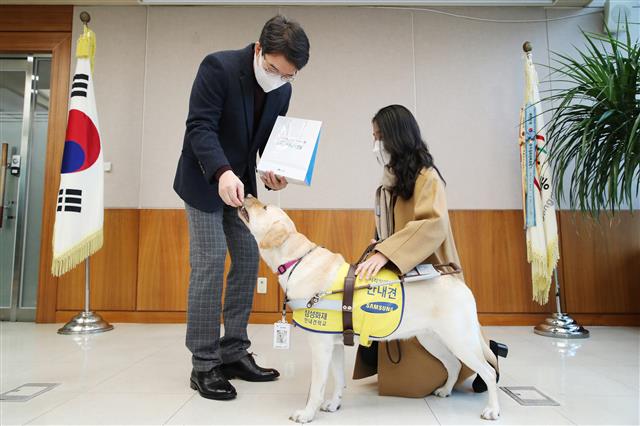 임용 선물로 개껌 받는 안내견 ‘반지’