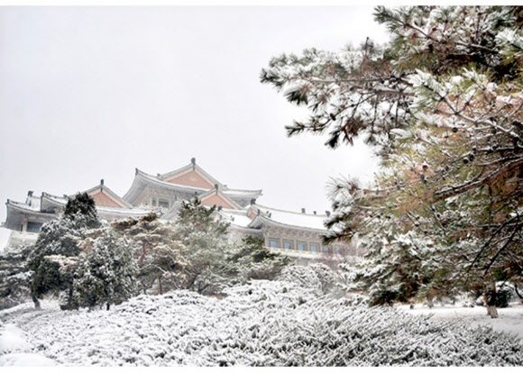 지난 13일 첫눈이 내린 평양의 모습이다. 하얀 눈이 덮힌 평양시내와 대동문 모란봉 등지의 설경을 노동당 기관지 노동신문홈페이지가 14일 소개했다. 2020.12.14  노동신문 홈페이지 캡처