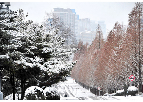 지난 13일 첫눈이 내린 평양의 모습이다. 하얀 눈이 덮힌 평양시내와 대동문 모란봉 등지의 설경을 노동당 기관지 노동신문홈페이지가 14일 소개했다. 2020.12.14  노동신문 홈페이지 캡처