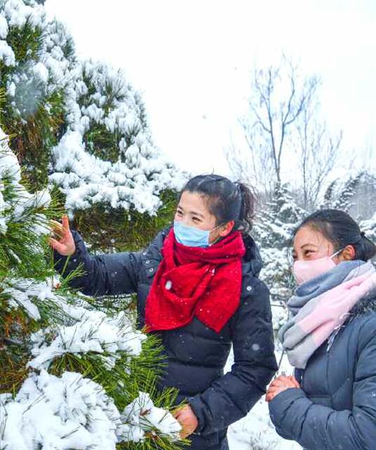 북한 평양에 첫눈이 내렸다고 노동당 기관지 노동신문이 14일 보도했다. 신문은 “어디를 둘러봐도 한 폭의 그림처럼 아름다운 평양의 설경”이라며 “정다운 거리들이 마치 흰옷을 차려입은 듯싶다”고 전했다.   평양 노동신문=뉴스1