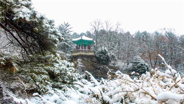북한 평양에 첫눈이 내렸다고 노동당 기관지 노동신문이 14일 보도했다. 신문은 “어디를 둘러봐도 한 폭의 그림처럼 아름다운 평양의 설경”이라며 “정다운 거리들이 마치 흰옷을 차려입은 듯싶다”고 전했다.   평양 노동신문=뉴스1
