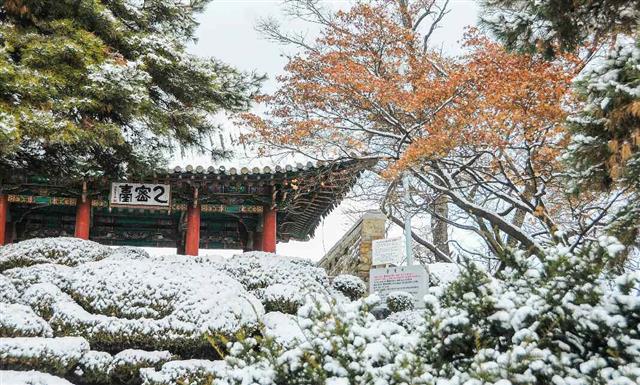 북한 평양에 첫눈이 내렸다고 노동당 기관지 노동신문이 14일 보도했다. 신문은 “어디를 둘러봐도 한 폭의 그림처럼 아름다운 평양의 설경”이라며 “정다운 거리들이 마치 흰옷을 차려입은 듯싶다”고 전했다.   평양 노동신문=뉴스1