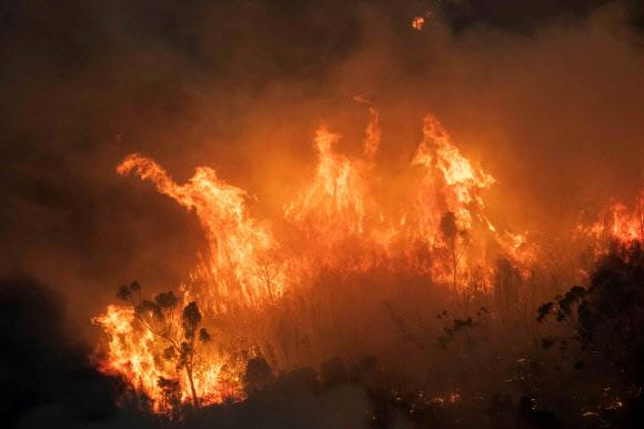지난해 9월 호주 남동부 지방에서 발생한 대규모 산불은 올해 2월 중순에 진화에 성공했다. 서울신문DB