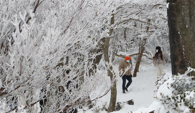 ‘아름다운 제주의 겨울’