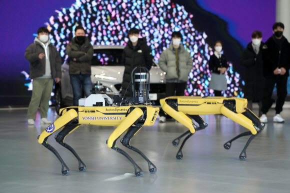 16일 경기도 고양시 일산 현대모터스튜디오에서 현대차그룹 4족 보행 로봇 개 ‘스폿’이 전시장을 누비고 있다.   연합뉴스