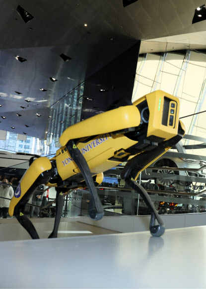 16일 경기도 고양시 일산 현대모터스튜디오에서 현대차그룹 4족 보행 로봇 개 ‘스폿’이 전시장 계단을 오르고 있다.   연합뉴스