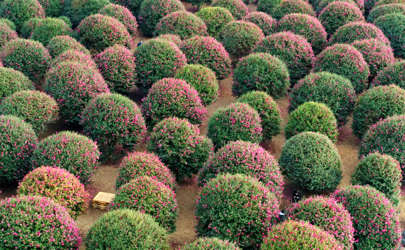 ‘겨울, 제주의 색’