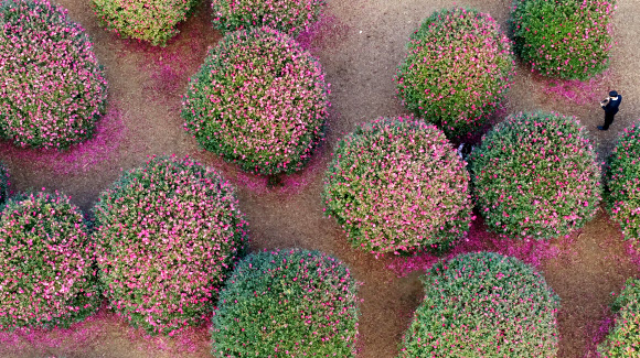 ‘겨울, 제주의 색’