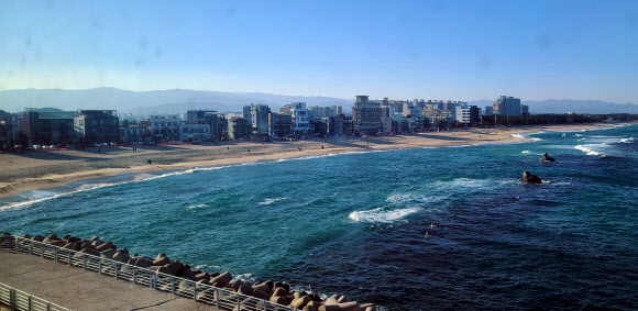 통제선 넘어 해변 들어간 관광객