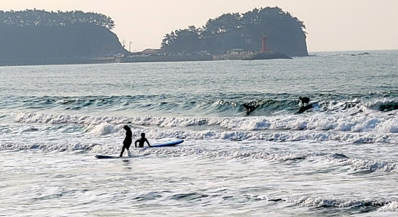 한겨울 만리포해수욕장서 파도 타는 서퍼들