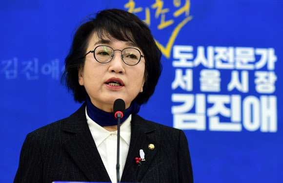 김진애 의원. 연합뉴스