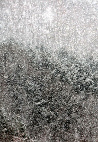 29일 강원 횡성군 공근면의 야산에 함박눈이 내리고 있다. 2020.12.29  연합뉴스