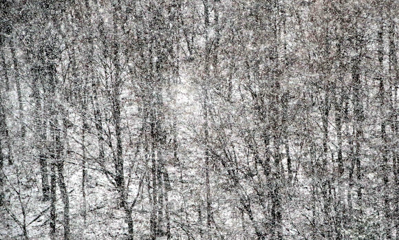 29일 강원 횡성군 공근면의 야산에 함박눈이 내리고 있다. 2020.12.29  연합뉴스